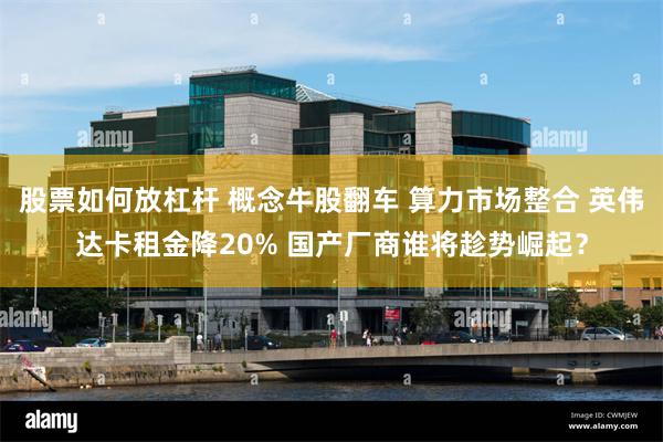 股票如何放杠杆 概念牛股翻车 算力市场整合 英伟达卡租金降20% 国产厂商谁将趁势崛起？