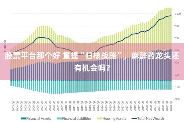 股票平台那个好 重提“归核战略”，麻醉药龙头还有机会吗？