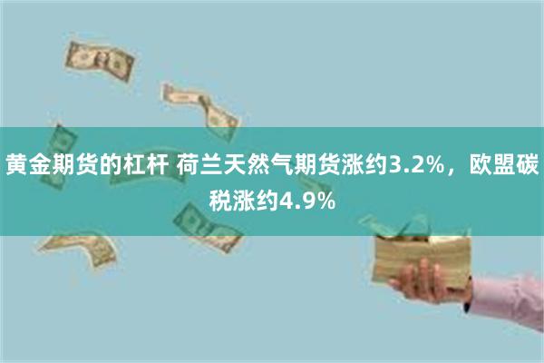 黄金期货的杠杆 荷兰天然气期货涨约3.2%，欧盟碳税涨约4.9%