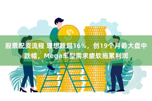 股票配资流程 理想跌超16%，创19个月最大盘中跌幅，Mega车型需求疲软拖累利润