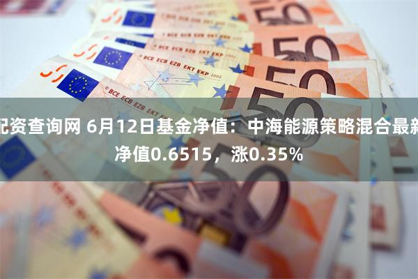 配资查询网 6月12日基金净值：中海能源策略混合最新净值0.6515，涨0.35%