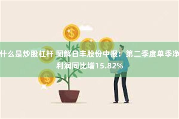 什么是炒股杠杆 图解日丰股份中报：第二季度单季净利润同比增15.82%