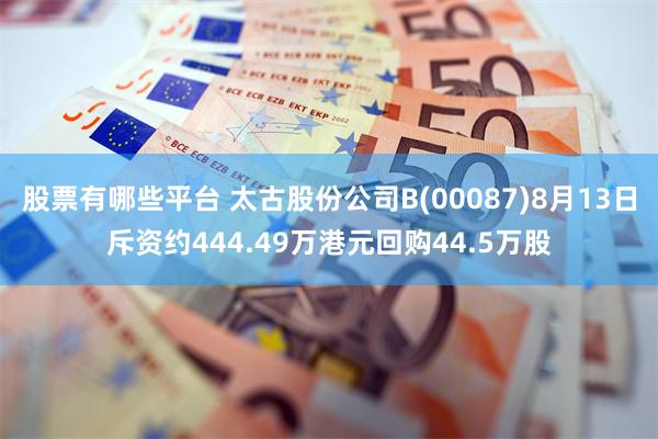 股票有哪些平台 太古股份公司B(00087)8月13日斥资约444.49万港元回购44.5万股