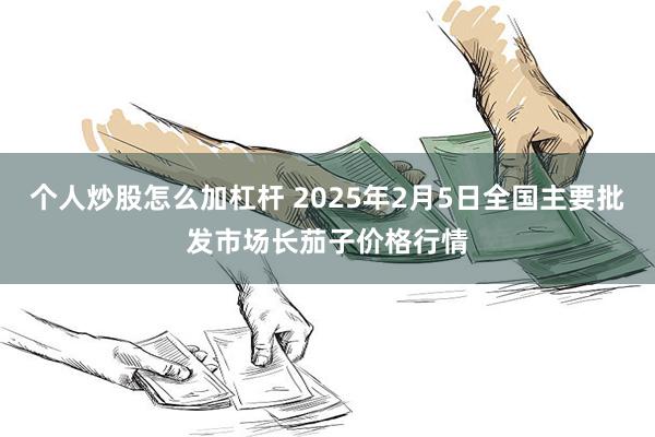 个人炒股怎么加杠杆 2025年2月5日全国主要批发市场长茄子价格行情